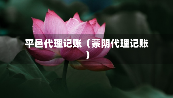 平邑代理記賬（蒙陰代理記賬）