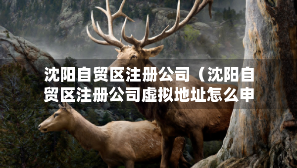 沈陽自貿(mào)區(qū)注冊公司（沈陽自貿(mào)區(qū)注冊公司虛擬地址怎么申請）