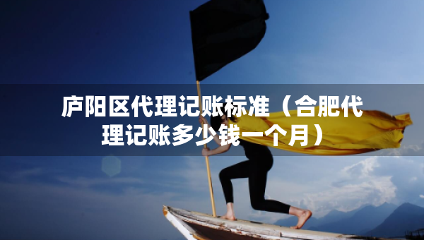 廬陽(yáng)區(qū)代理記賬標(biāo)準(zhǔn)（合肥代理記賬多少錢一個(gè)月）