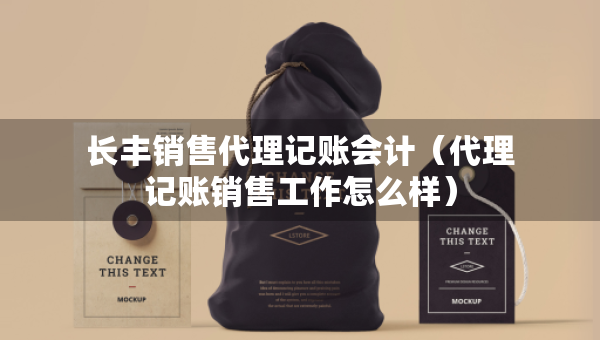 長豐銷售代理記賬會計(jì)（代理記賬銷售工作怎么樣）