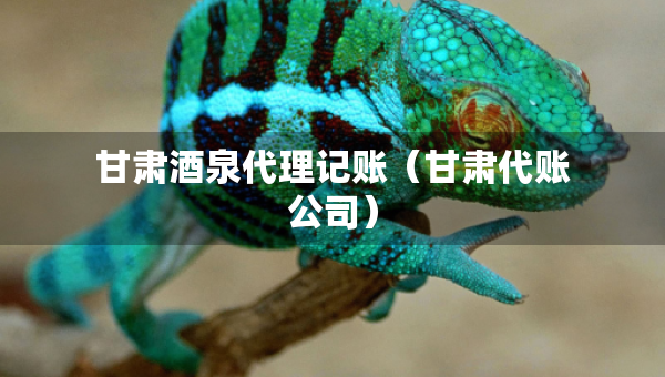 甘肅酒泉代理記賬（甘肅代賬公司）