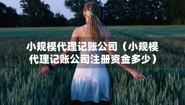 小規(guī)模代理記賬公司（小規(guī)模代理記賬公司注冊資金多少）