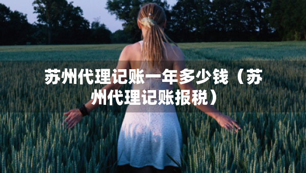 蘇州代理記賬一年多少錢（蘇州代理記賬報(bào)稅）
