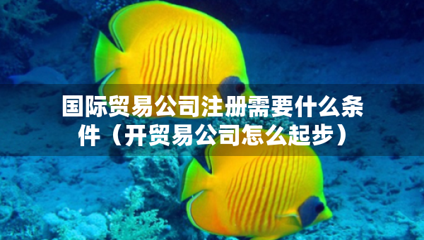 國際貿(mào)易公司注冊需要什么條件（開貿(mào)易公司怎么起步）
