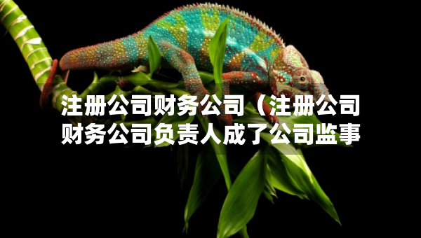 注冊公司財務(wù)公司（注冊公司財務(wù)公司負(fù)責(zé)人成了公司監(jiān)事）