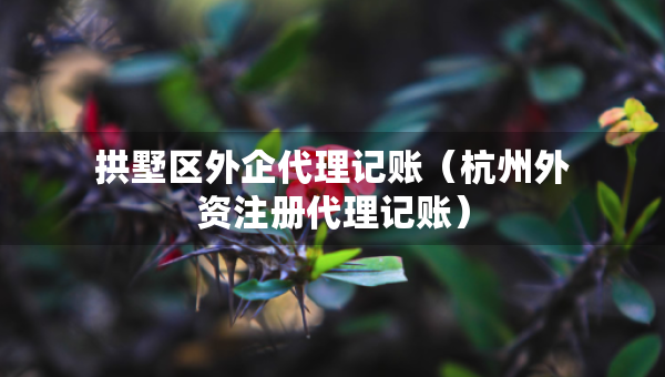 拱墅區(qū)外企代理記賬（杭州外資注冊(cè)代理記賬）