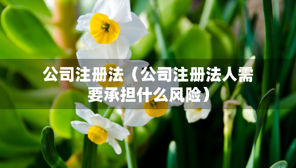 公司注冊法（公司注冊法人需要承擔(dān)什么風(fēng)險(xiǎn)）