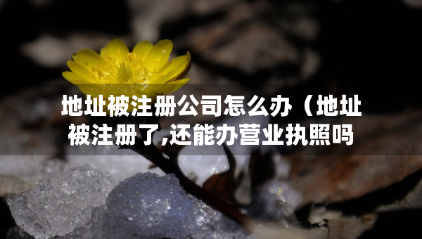 地址被注冊(cè)公司怎么辦（地址被注冊(cè)了,還能辦營(yíng)業(yè)執(zhí)照嗎）