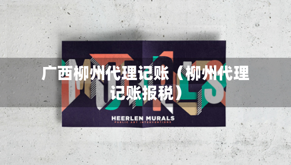 廣西柳州代理記賬（柳州代理記賬報稅）