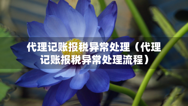 代理記賬報(bào)稅異常處理（代理記賬報(bào)稅異常處理流程）
