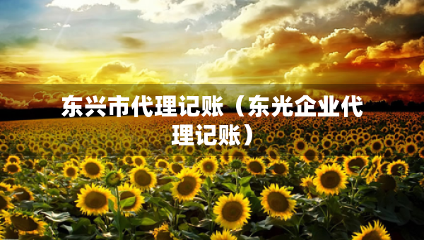 東興市代理記賬（東光企業(yè)代理記賬）