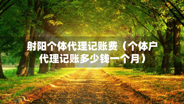 射陽(yáng)個(gè)體代理記賬費(fèi)（個(gè)體戶代理記賬多少錢(qián)一個(gè)月）