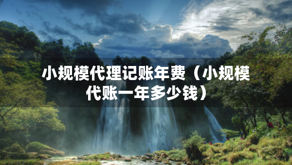 小規(guī)模代理記賬年費（小規(guī)模代賬一年多少錢）