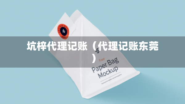 坑梓代理記賬（代理記賬東莞）