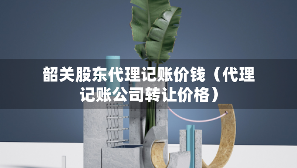 韶關(guān)股東代理記賬價錢（代理記賬公司轉(zhuǎn)讓價格）
