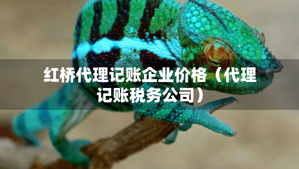 紅橋代理記賬企業(yè)價(jià)格（代理記賬稅務(wù)公司）
