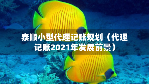 泰順小型代理記賬規(guī)劃（代理記賬2021年發(fā)展前景）