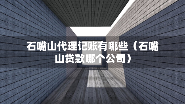 石嘴山代理記賬有哪些（石嘴山貸款哪個公司）