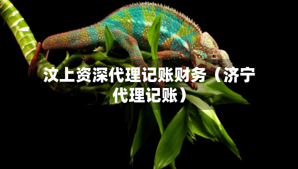 汶上資深代理記賬財(cái)務(wù)（濟(jì)寧代理記賬）