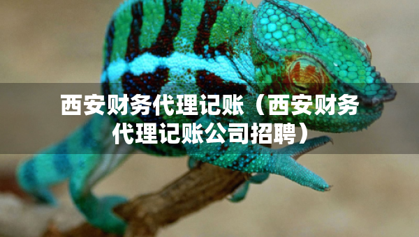 西安財(cái)務(wù)代理記賬（西安財(cái)務(wù)代理記賬公司招聘）