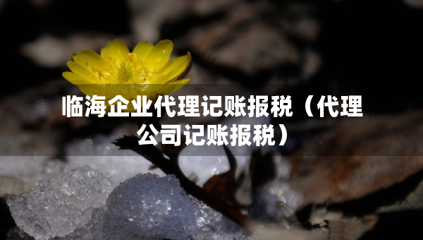 臨海企業(yè)代理記賬報稅（代理公司記賬報稅）