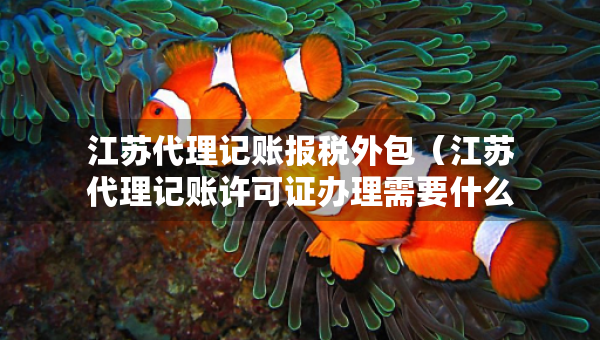 江蘇代理記賬報稅外包（江蘇代理記賬許可證辦理需要什么條件）
