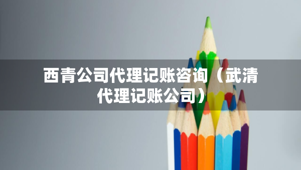 西青公司代理記賬咨詢（武清代理記賬公司）