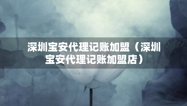 深圳寶安代理記賬加盟（深圳寶安代理記賬加盟店）