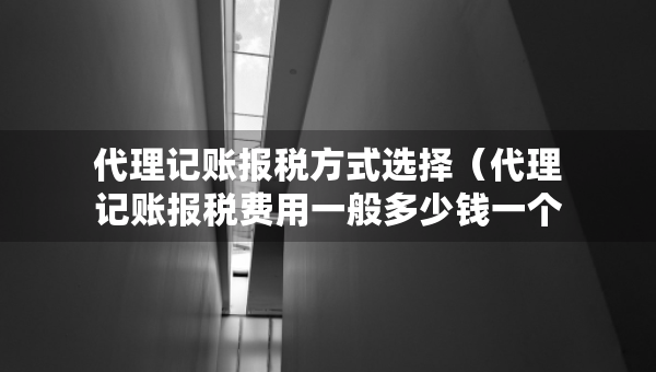 代理記賬報稅方式選擇（代理記賬報稅費(fèi)用一般多少錢一個月）
