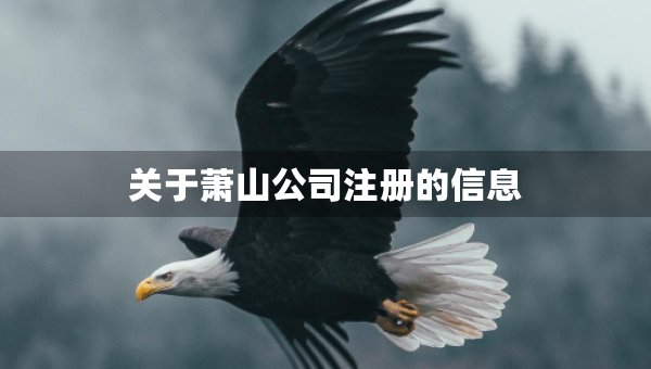 關(guān)于蕭山公司注冊(cè)的信息