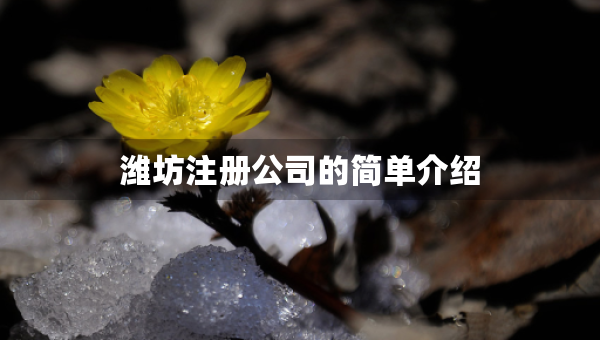 濰坊注冊(cè)公司的簡(jiǎn)單介紹