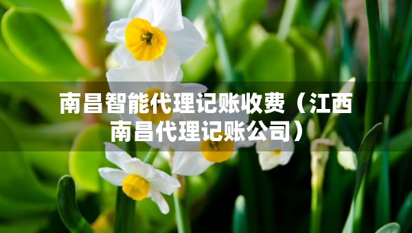 南昌智能代理記賬收費(fèi)（江西南昌代理記賬公司）