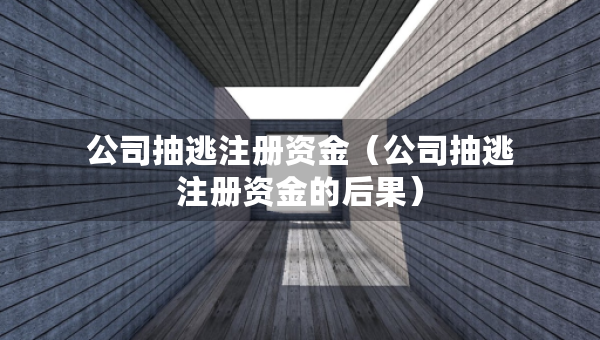 公司抽逃注冊資金（公司抽逃注冊資金的后果）