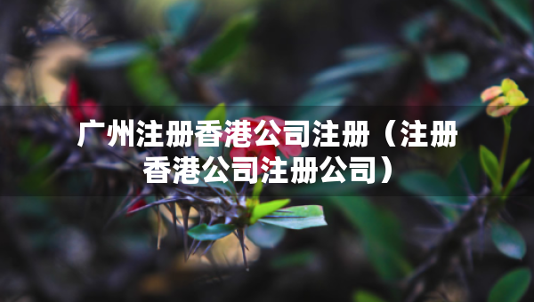 廣州注冊(cè)香港公司注冊(cè)（注冊(cè)香港公司注冊(cè)公司）