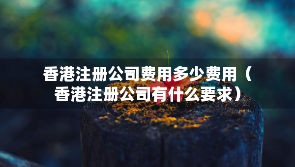 香港注冊公司費用多少費用（香港注冊公司有什么要求）