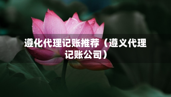 遵化代理記賬推薦（遵義代理記賬公司）