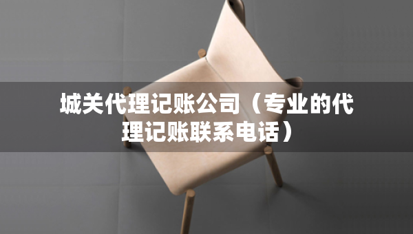 城關代理記賬公司（專業(yè)的代理記賬聯(lián)系電話）
