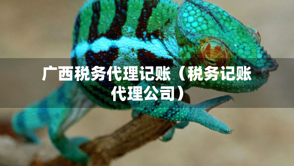 廣西稅務(wù)代理記賬（稅務(wù)記賬代理公司）