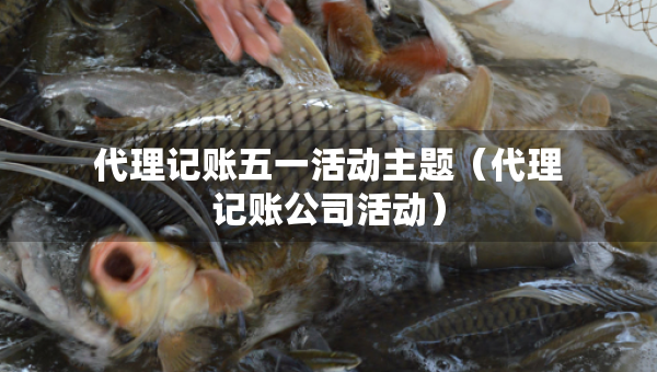 代理記賬五一活動主題（代理記賬公司活動）