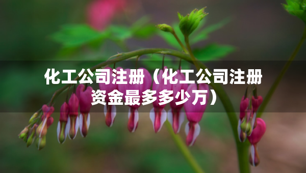 化工公司注冊(cè)（化工公司注冊(cè)資金最多多少萬(wàn)）