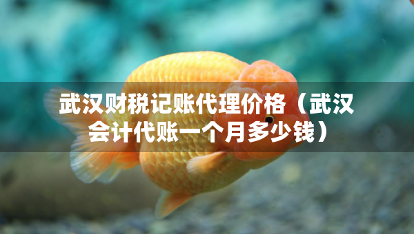 武漢財稅記賬代理價格（武漢會計代賬一個月多少錢）