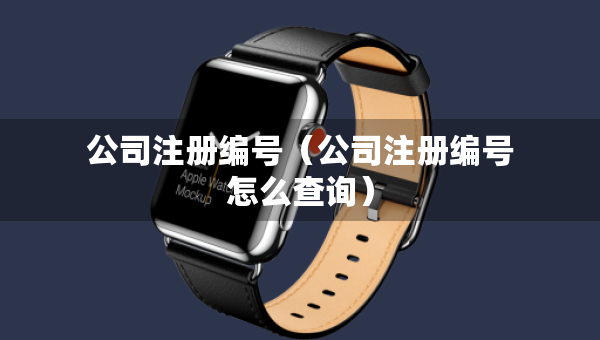 公司注冊編號（公司注冊編號怎么查詢）