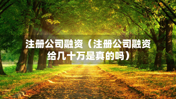 注冊(cè)公司融資（注冊(cè)公司融資給幾十萬是真的嗎）
