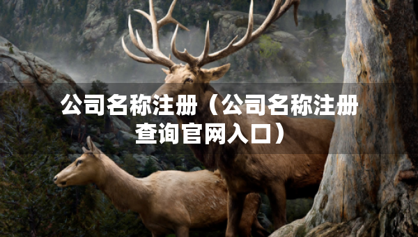 公司名稱(chēng)注冊(cè)（公司名稱(chēng)注冊(cè)查詢(xún)官網(wǎng)入口）