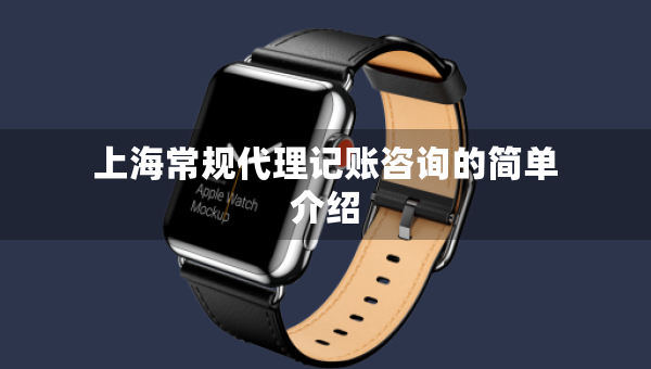 上海常規(guī)代理記賬咨詢的簡單介紹