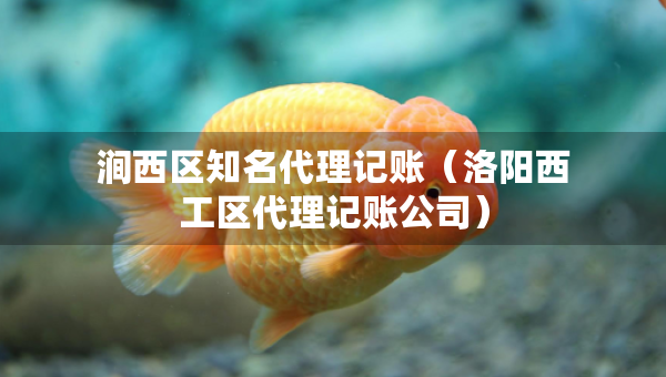 澗西區(qū)知名代理記賬（洛陽(yáng)西工區(qū)代理記賬公司）