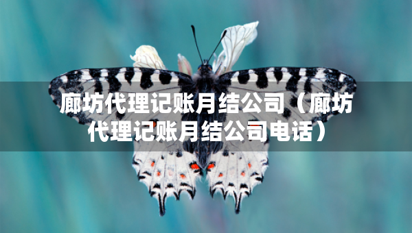 廊坊代理記賬月結(jié)公司（廊坊代理記賬月結(jié)公司電話）