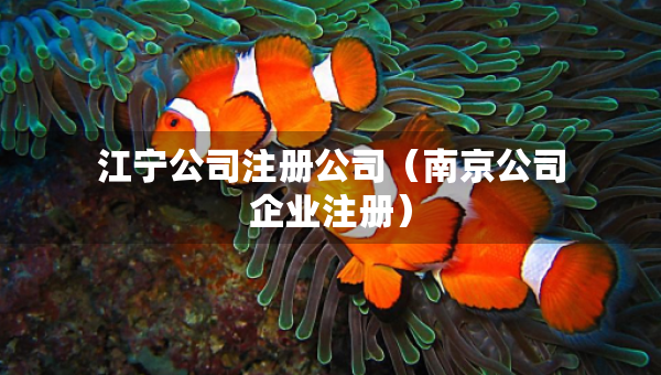 江寧公司注冊公司（南京公司企業(yè)注冊）