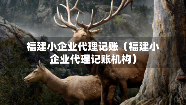 福建小企業(yè)代理記賬（福建小企業(yè)代理記賬機(jī)構(gòu)）