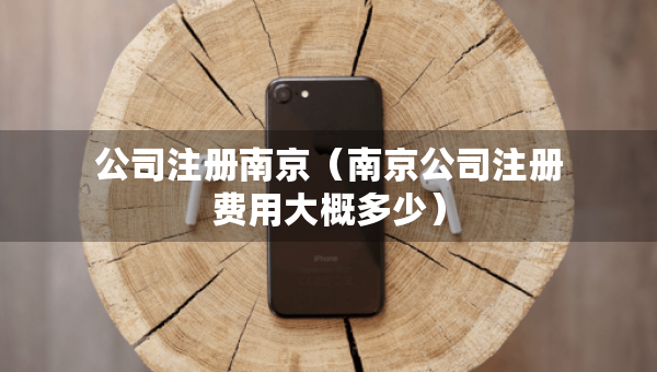 公司注冊南京（南京公司注冊費(fèi)用大概多少）